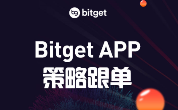   你还在傻傻的相信“Bitget会被骗吗”？